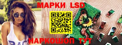 крисы Гатчина