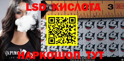 крисы Гатчина