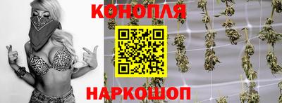 винт Гай