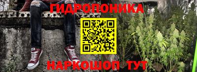 винт Гай