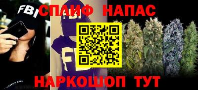 гашик Гагарин