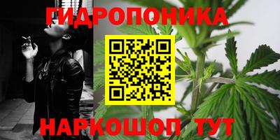винт Гай