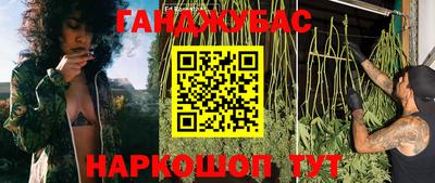гашик Гагарин