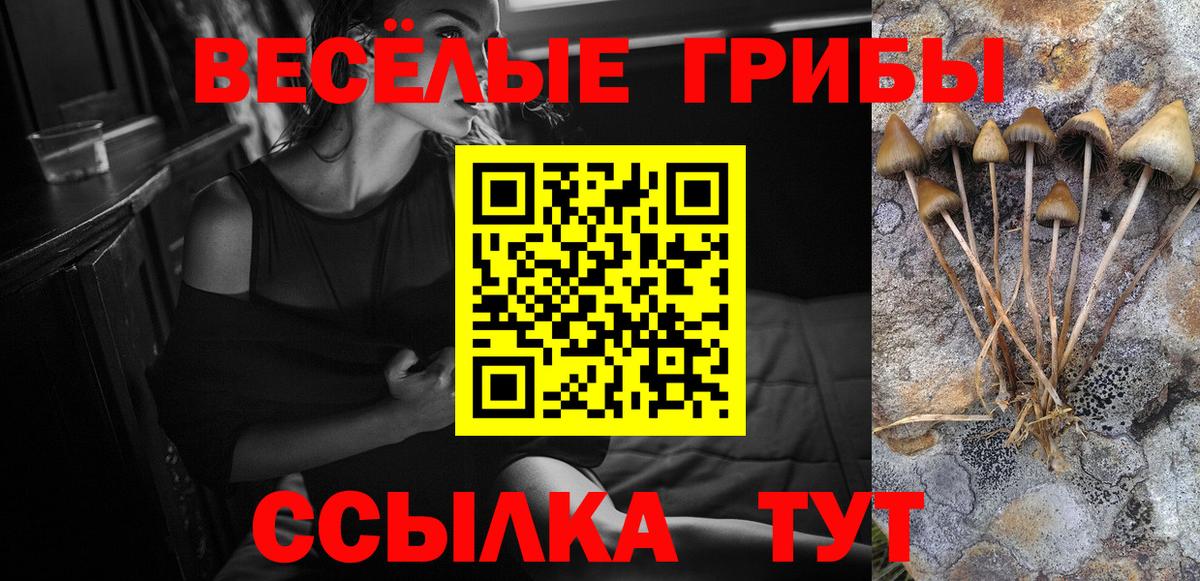 Галлюциногенные грибы прущие грибы  продажа наркотиков  Гурьевск  Вход с VPN  Псилоцибиновые грибы ЛСД 