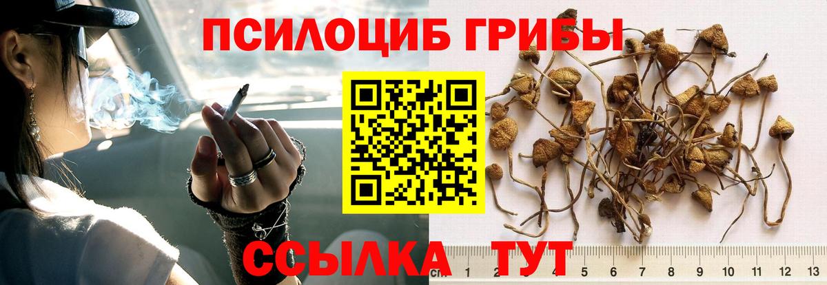 МЕФ   Марихуана  Cocaine  Гурьевск  Вход с VPN  Гашиш 